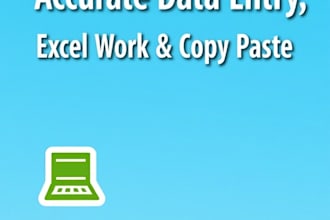 do fast and accurate excel data entry and spread sheet work