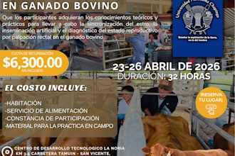 creare flyers de calidad para ti