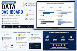create a professional data dashboard and visualization