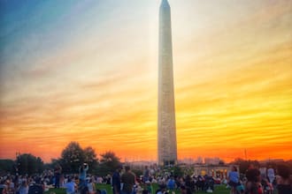 take photos of anything in washington dc