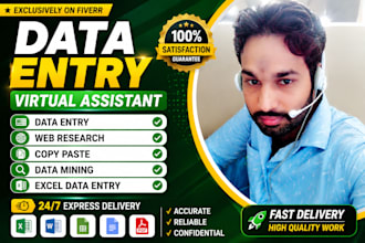do urgent data entry, excel sheet, web research in 24 hours