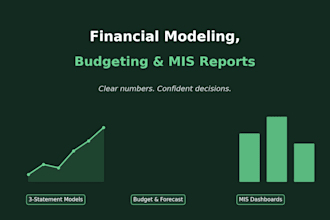 build your financial model, budget, and mis reports