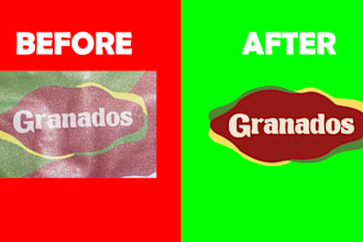 professionally vectorize your logo to high quality vector