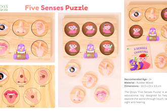 design toys inspired by biology