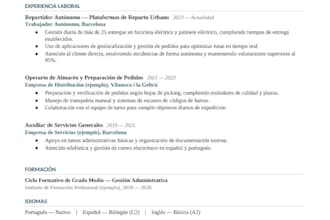 cv profissional ats em portugues e espanhol