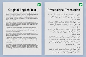 professionally translate books, documents and articles
