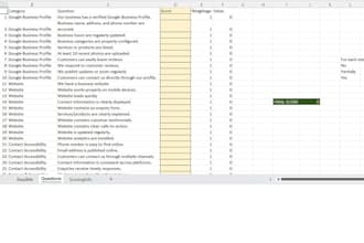 audit your online presence and provide a professional scorecard