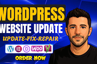 fix wordpress bug, errors, plugin issues, responsive layout, wordpress help