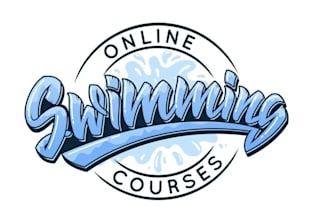 design an awesome attractive swimming pool service logo