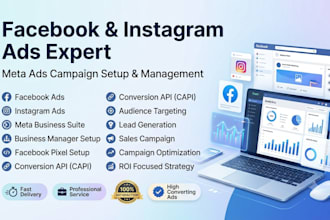 do professinal facebook meta ads