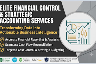 do professional bookkeeping, accounting, and financial reporting