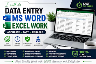 do accurate data entry, microsoft excel, word, and typing
