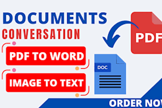 convert PDF to word and do data entry