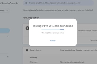 google search console errors and indexing issues