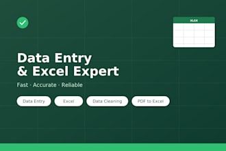 accurate data entry and excel data processing
