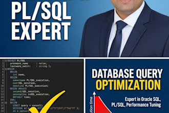 develop oracle pl sql procedures and optimize queries