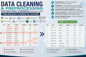 clean, preprocess and transform your data using python