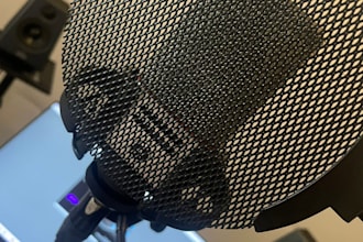 professionally mix and master your song
