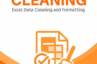 do excel data cleaning formatting and spreadsheet work