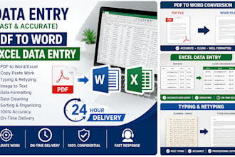 do accurate data entry and PDF conversion