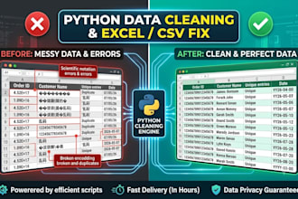 do python data cleaning formatting and fix csv excel errors
