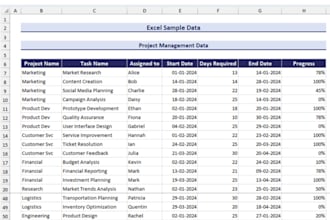 provide accurate microsoft excel services