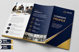 design a professional company profile and brochure
