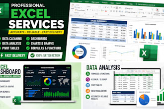 clean, format, analyze and organize excel data professionally