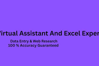 be your virtual assistant and excel data entry specialist
