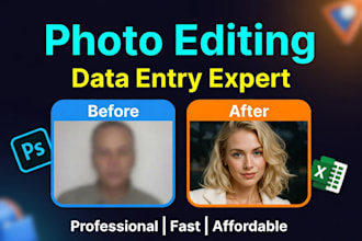 ido professional data entry, copy paste and web research