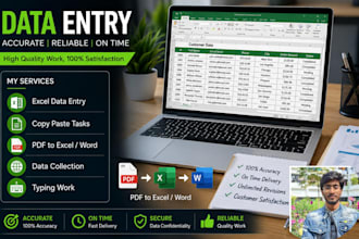 do excel data entry