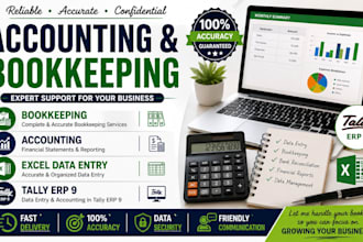 do excel data entry, tally, bookkeeping and bank reconciliation