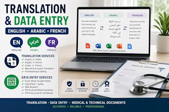 do professional data entry and french to arabic translation