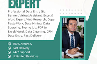 do professional data entry and virtual assistant tasks