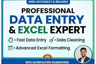 do professional data entry, data cleaning, and excel formatting