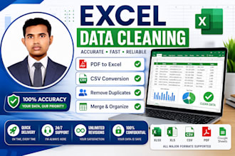 do excel data cleaning, formatting, PDF to excel, CSV conversion and data entry