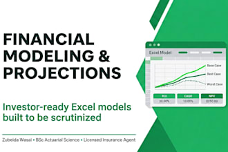 build a professional financial model and projections