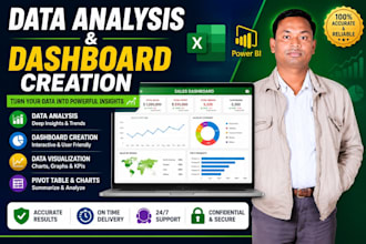 do data analysis and dashboard creation on excel