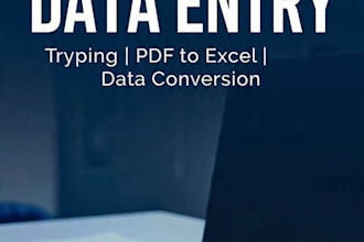 do manual data entry in excel