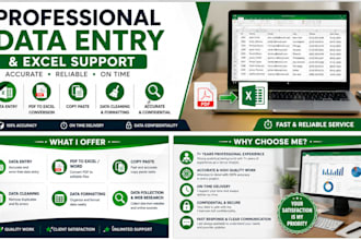 provide accurate data entry and excel support