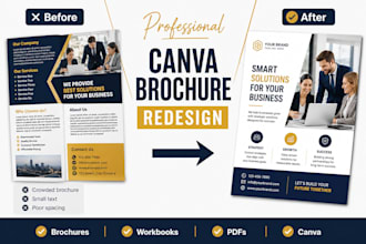 redesign your canva brochure, workbook, booklet and PDF