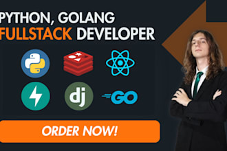 build custom fullstack app for you