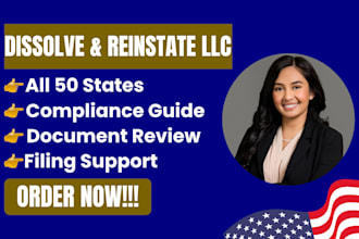 assist llc dissolution reinstatement and business compliance