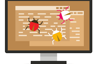perform professional website testing and UI UX audit