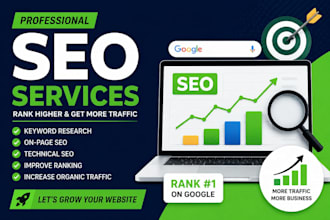 do professional on page SEO for your website