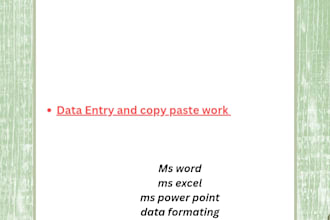 do professional data entry and copy paste work