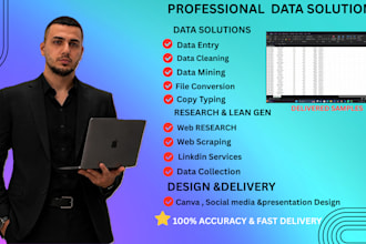 do prefessional data entry virtual asistant