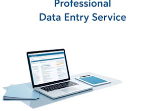 do accurate data entry and excel work