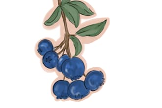 create adorable fruit and berry sticker illustrations