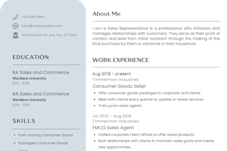 write professional resume and CV